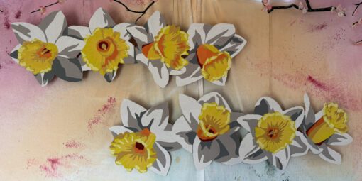 Daffodils